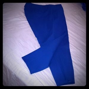 Torrid Blue Stretch Pants.
